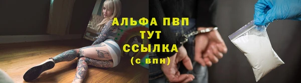 PSILOCYBIN Балахна