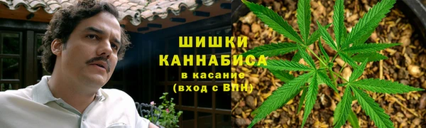 PSILOCYBIN Балахна