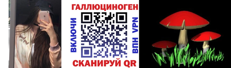 Псилоцибиновые грибы Magic Shrooms  Купить закладки  Сычёвка 